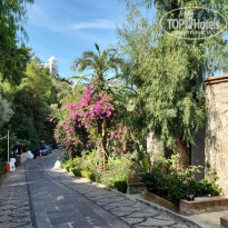 фото из отзыва ID 2733772