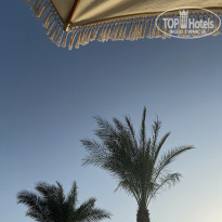 фото из отзыва ID 2733784