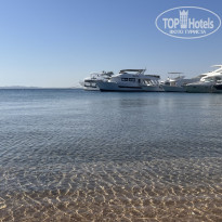 фото из отзыва ID 2733851