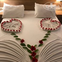 фото из отзыва ID 2733873