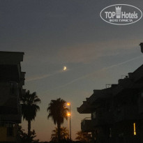 фото из отзыва ID 2733873