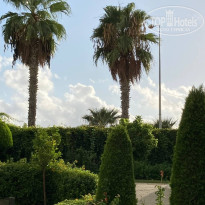 фото из отзыва ID 2733873