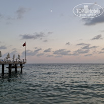 фото из отзыва ID 2733875