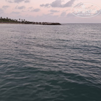 фото из отзыва ID 2733875