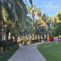 фото из отзыва ID 2733875