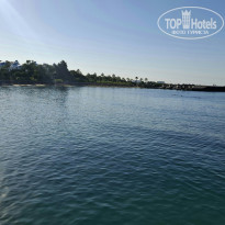 фото из отзыва ID 2733875