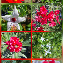 фото из отзыва ID 2733875