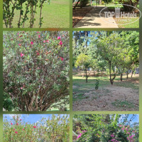 фото из отзыва ID 2733875