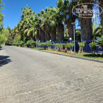 фото из отзыва ID 2733875