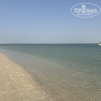 фото из отзыва ID 2733870