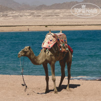 фото из отзыва ID 2733882