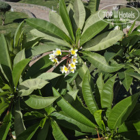 фото из отзыва ID 2733889