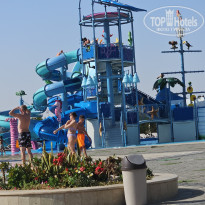 фото из отзыва ID 2733904