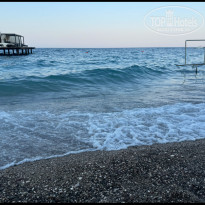 фото из отзыва ID 2733881