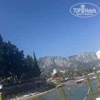 фото из отзыва ID 2733926