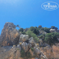 фото из отзыва ID 2733930