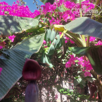 фото из отзыва ID 2733930