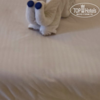 фото из отзыва ID 2733945