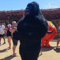 фото из отзыва ID 2733945