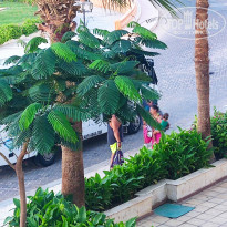 фото из отзыва ID 2733945