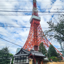 фото из отзыва ID 2733942