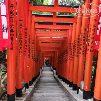 фото из отзыва ID 2733942