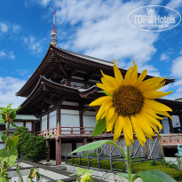 фото из отзыва ID 2733942