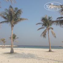 фото из отзыва ID 2733948