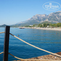 фото из отзыва ID 2733958