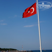 фото из отзыва ID 2733958