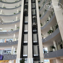 фото из отзыва ID 2733963