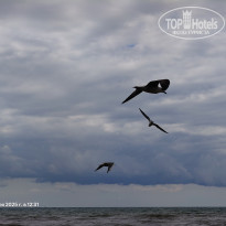 фото из отзыва ID 2733963