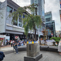 фото из отзыва ID 2733966