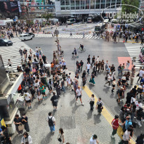 фото из отзыва ID 2733966