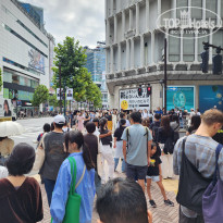 фото из отзыва ID 2733966