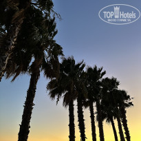 фото из отзыва ID 2733980