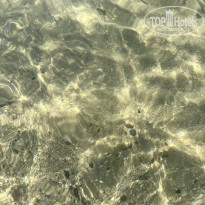 фото из отзыва ID 2733980