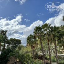 фото из отзыва ID 2733980