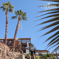 фото из отзыва ID 2734020