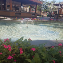 фото из отзыва ID 2734031