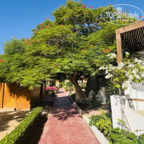 фото из отзыва ID 2734019