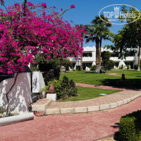 фото из отзыва ID 2734019