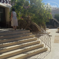 фото из отзыва ID 2734019