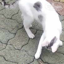 фото из отзыва ID 2734046