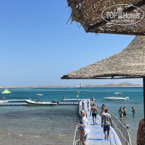 фото из отзыва ID 2734048