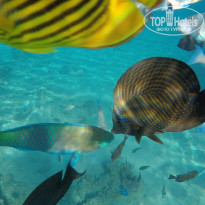 фото из отзыва ID 2733960