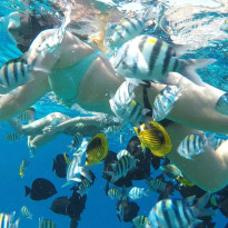 фото из отзыва ID 2733960