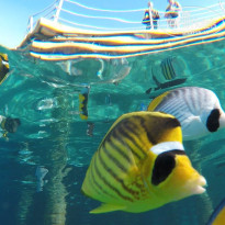 фото из отзыва ID 2733960