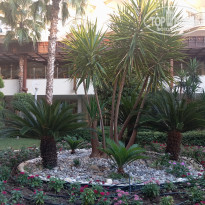 фото из отзыва ID 2734058