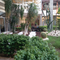 фото из отзыва ID 2734058